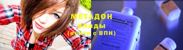 индика Алексин