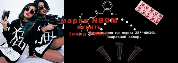 индика Алексин