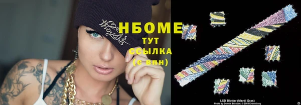 индика Алексин