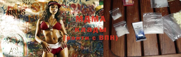 индика Алексин