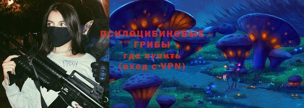 индика Алексин