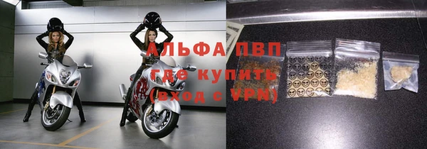 индика Алексин